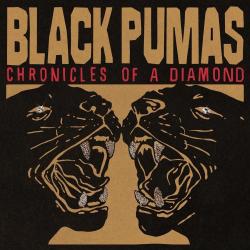 BLACK PUMAS - CHRONICLES OF A DIAMOND (LP) clear
