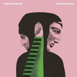 TEENAGE FANCLUB - ENDLESS ARCADE (LP)